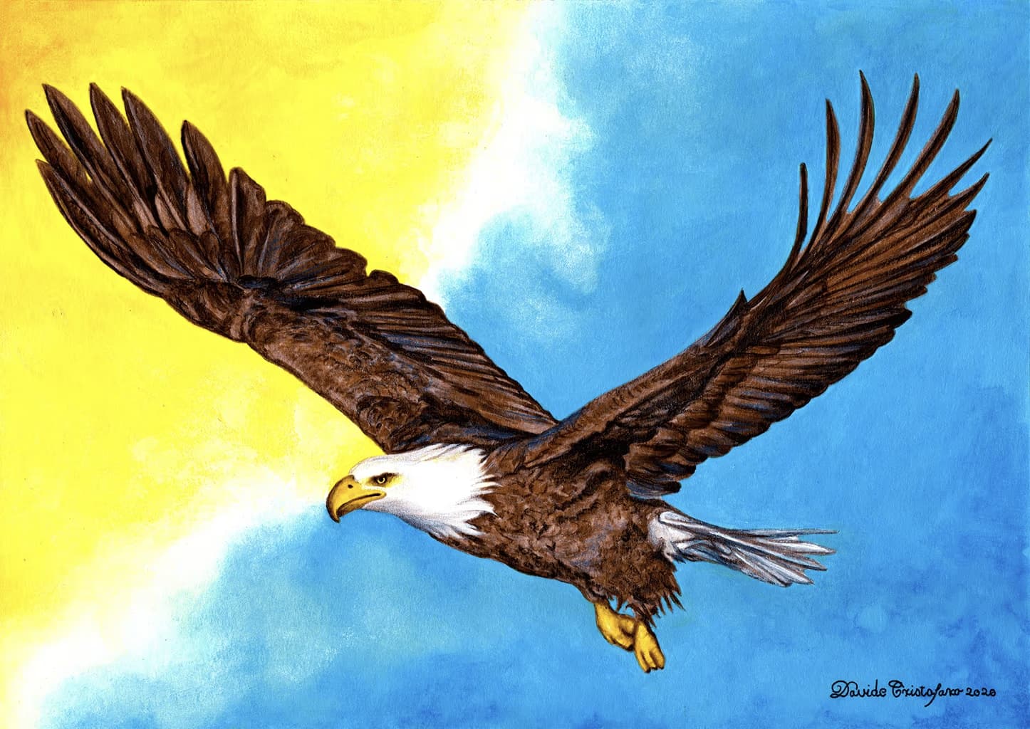Aquila