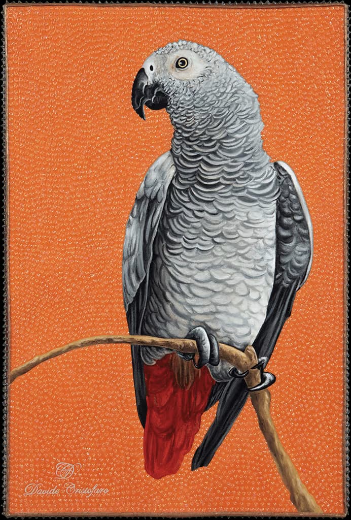 Cenerino