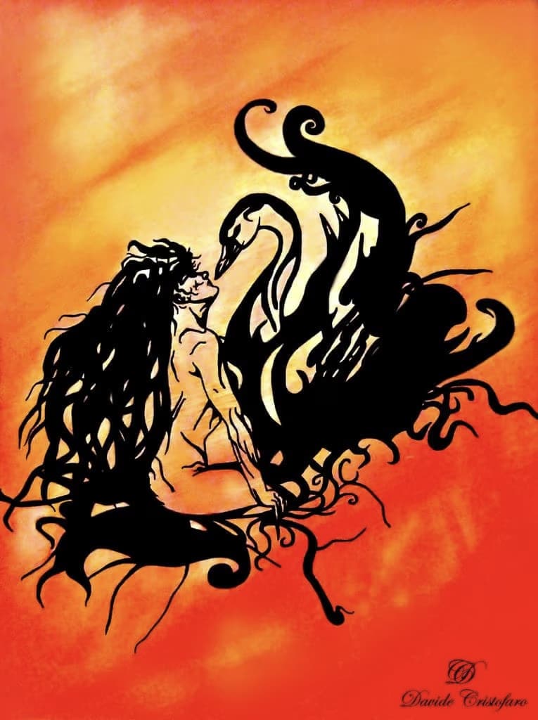 Il Bacio del Cigno Nero